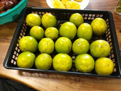 2025-09-19 016 - コピー.jpg