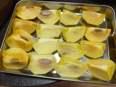 2025-09-26 007 - コピー.jpg