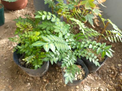 2025-10-23 007 - コピー.jpg