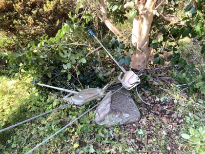 IMG_8233 - コピー.JPG