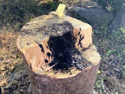 IMG_8240 - コピー.JPG