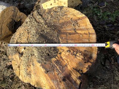 IMG_8310 - コピー.JPG