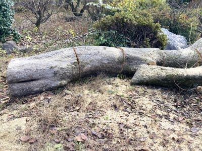 IMG_8375 - コピー.JPG