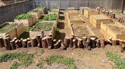 IMG_2386 - コピー.JPG