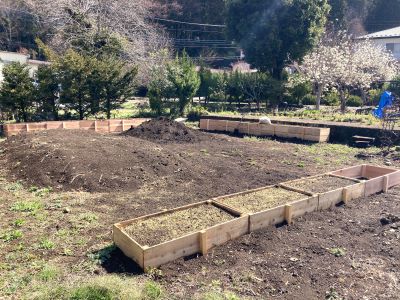 IMG_2646 - コピー.JPG