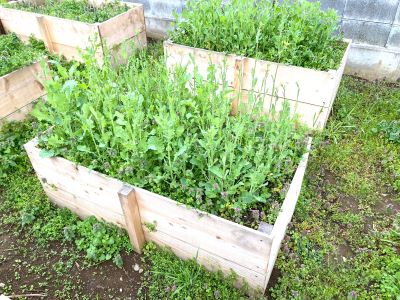 IMG_2846 - コピー.JPG