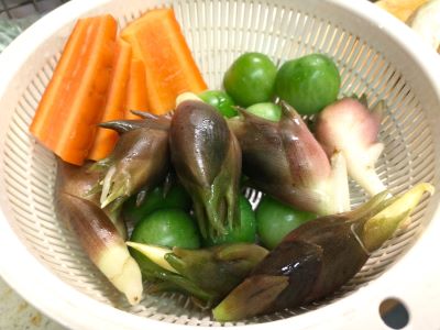 2026-09-20 023 - コピー.jpg